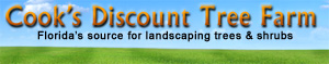 Cook's Discount Tree Farm - Florida's source for landscaping trees & shrubs